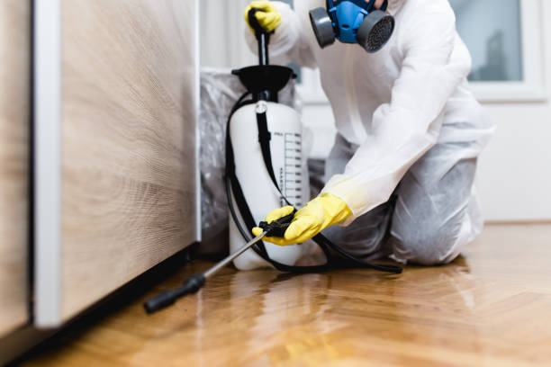 Reliable Gallatin, TN Pest Control Solutions