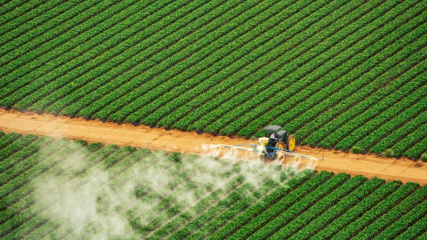 Best Ant Control Services  in Gallatin, TN